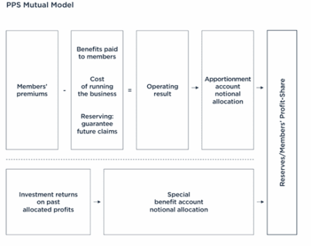 PPS for Professionals | An Independent Analysis | Henceforward